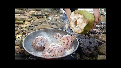 Monster Sea Snail Catching and Cooking with Coconut - Making Food with Monster Sea Snail