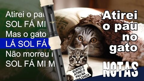 ATIREI O PAU NO GATO - Tutorial com notas na tela flauta doce