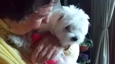 Emotional 90-Year-Old Grandmother Has Priceless Reaction To Puppy Surprise