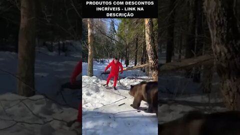 jogando bola com um urso