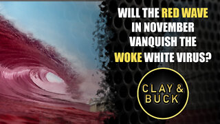 Will the Red Wave in November Vanquish the Woke White Virus?