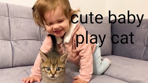 Cute baby cat . animal funny video. Viral video.2023