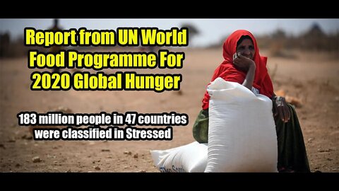 Report from UN World Food Programme For 2020 Global Hunger