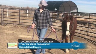 Your Favorite Non-Profits // Colorado Gives Day