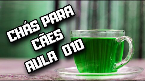 Chá de Gengibre para Cães: aula 010 | Dr. Edgard Gomes | Alimentação natural para Cães