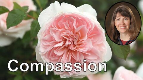 Self Compassion Guided Meditation for Relaxation