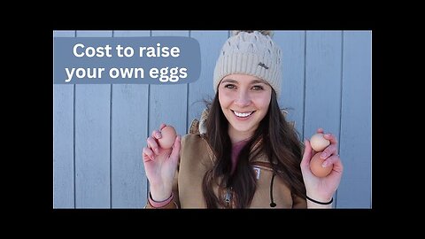 Does raising chickens give you cheaper eggs?