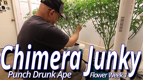 Chimera Junky Week 1: Spider Farmer SE7000 Full Garden Update