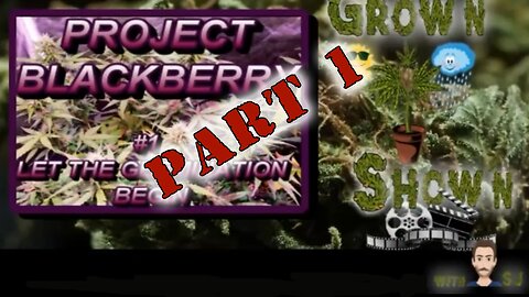Grow'n N Show'n with SJ [Series 1] Part 1 Getting Started "Project Blackberry"[LSR NETWORK]