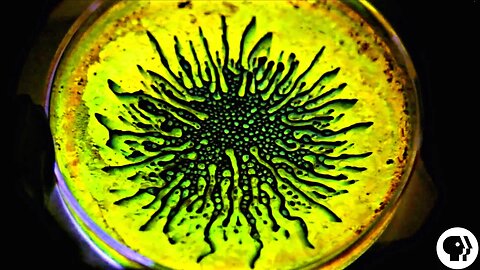 AMAZING! Ferrofluid + Glow Sticks