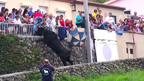 Best Of Street Bulls - Marradas Clip 2/2016 - Terceira Island Bullfights
