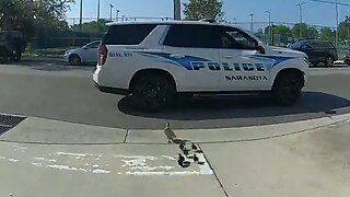 Florida police officer escorts family of ducks to safety