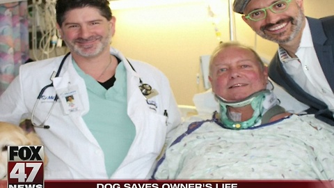 Dog hailed hero for saving owner's life