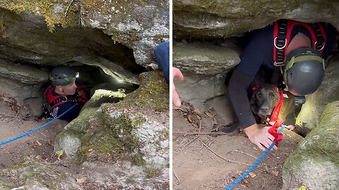 Dog trapped in deep cave for three days with a bear