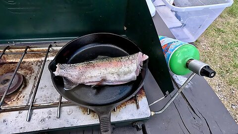 Catch and cook a Trout