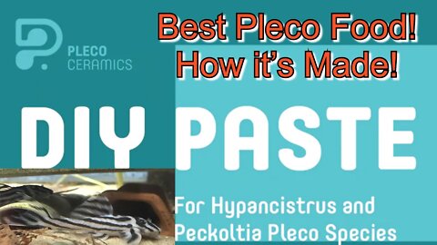 How to Make Pleco Ceramics Pleco Paste #AquaMalik #FishFood for #ZebraPleco #Hypancistrus #Pleco