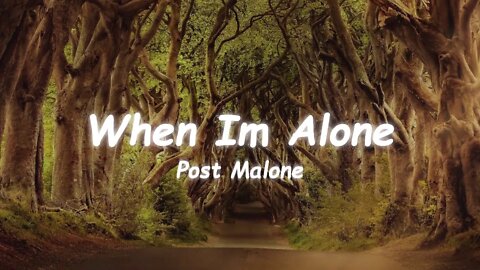 Post Malone - When Im Alone (Lyrics)