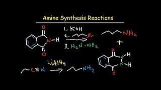 Amine Synthesis Reactions Organic Chemistry - Summary & Practice Problems