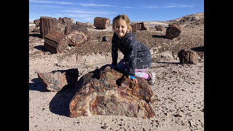Bryce Canyon and Petrified Forest National Park