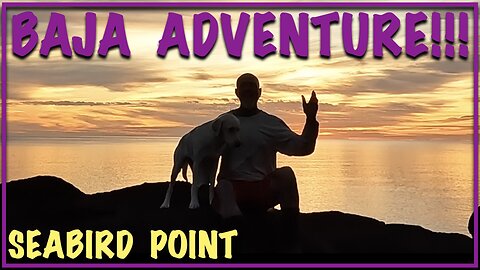 Baja Adventure : Seabird Point