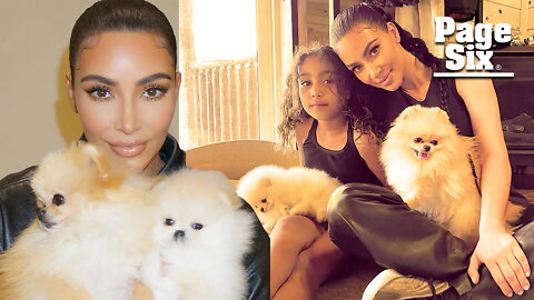 Kim Kardashian slammed for video of dogs appearing to live in garage