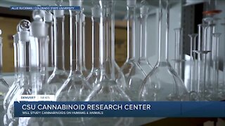 CSU opening new cannabinoid research lab