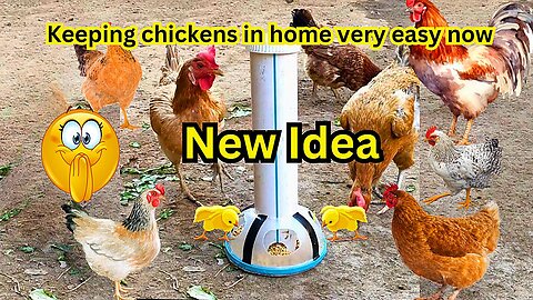 simple invention using recycled materials | A genius innovation or invention for chicken broilers