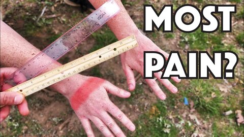 Which hurts more? Wood Vs Plastic Yardstick