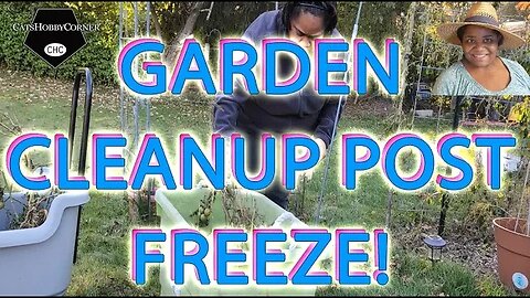 #garden #cleanup Post #freeze - #catshobbycorner