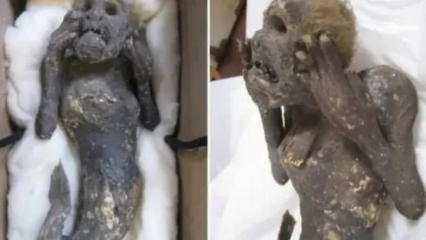 300 Year Old Mermaid Mummy To Be Tested By Scientists Staring Into The Abyss