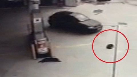 MONSTER !! intentionally run over by a sleeping dog and go away without giving any help