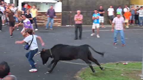 Vacada Santa Luzia Praia da Vitória 2015 - Terceira Island Bullfights - Azores