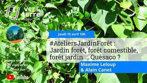 #AteliersJardinForêt : Jardin forêt, forêt comestible, forêt jardin, quésako ?