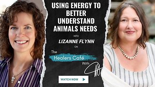Using Energy to Better Understand Animals Needs – Lizanne Flynn on The Healers Café with Manon