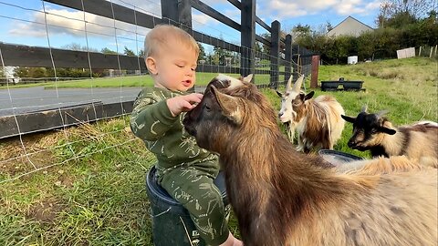 Adorable Baby Boy Talking To His Goats! (Cutest Ever!!)