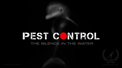 'Pest Control' - The Silence in The Oceans