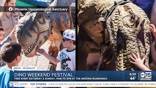 The Bulletin Board: Dino weekend festival