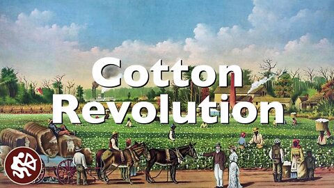 Cotton Revolution during the 1800s | American History Flipped Classroom