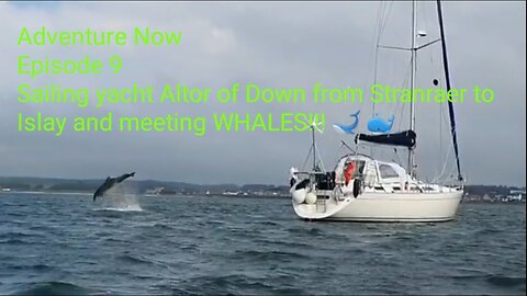 Adventure Now, Season 1, Ep.9. Sailing yacht Altor of Down from Stranrear to Islay & meeting Whales!