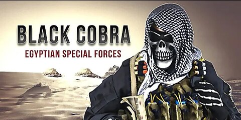 Black cobra 💪♥️