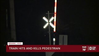 1 dead following train vs pedestrian crash in Hillsborough County