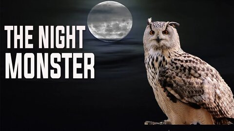 THIS OWL HAVE 270° RANGE OF MOTION IN IT'S NECK| OWL'S VISION