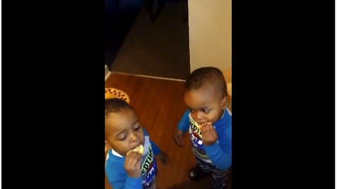 Adorable Twins Try Lemon For The First Time And It's Hilarious