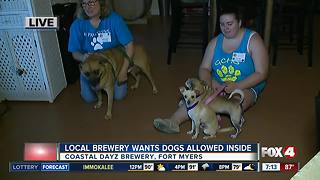 Should dogs be allowed in Florida breweries?