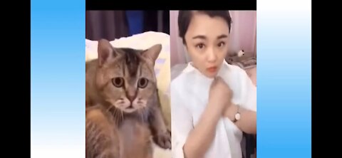 Try Not to Laugh Challenge 2021 I you definitely don't want to miss this funny Cat video compilation