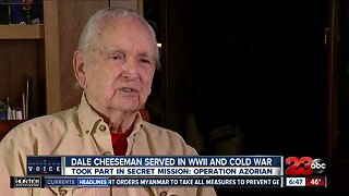 A Veteran's Voice: Dale Cheeseman