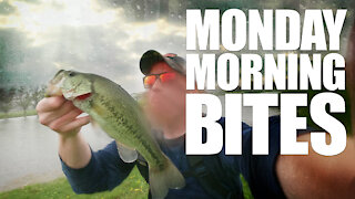 Strike King Ocho Catches Bass in the Rain | Monday Morning Bites: Episode 5