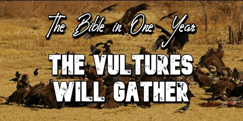 The Bible in One Year: Day 303 The Vultures Will Gather
