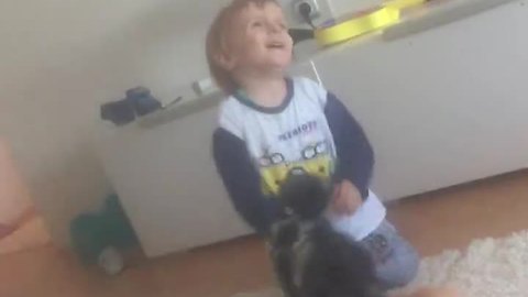 Playful Kid Displays Impressive 'Dying' Acting Skills