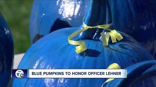 Blue pumpkins in big demand after officer's death